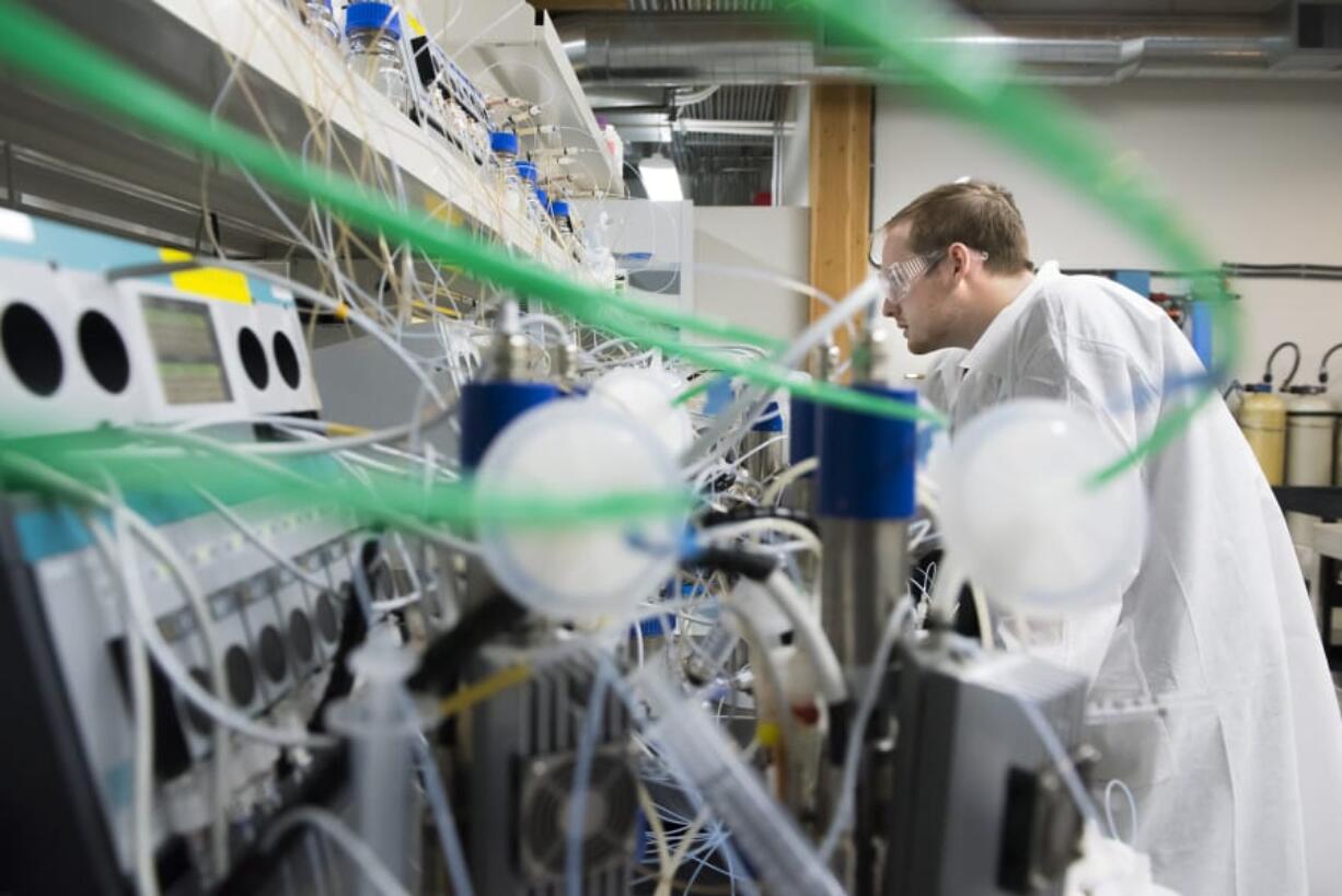 Fox Avery, an intern, monitors a fermentation process at the AbSci labs on Tuesday morning.