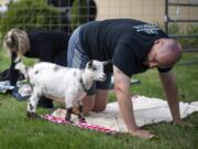 Clark County Fire Chief John Nohr is a board member at the North County Community Food Bank and likes to help the organization whenever he can. On Thursday, that meant contributing to a pancake feed and doing goat yoga to help fund a new building.