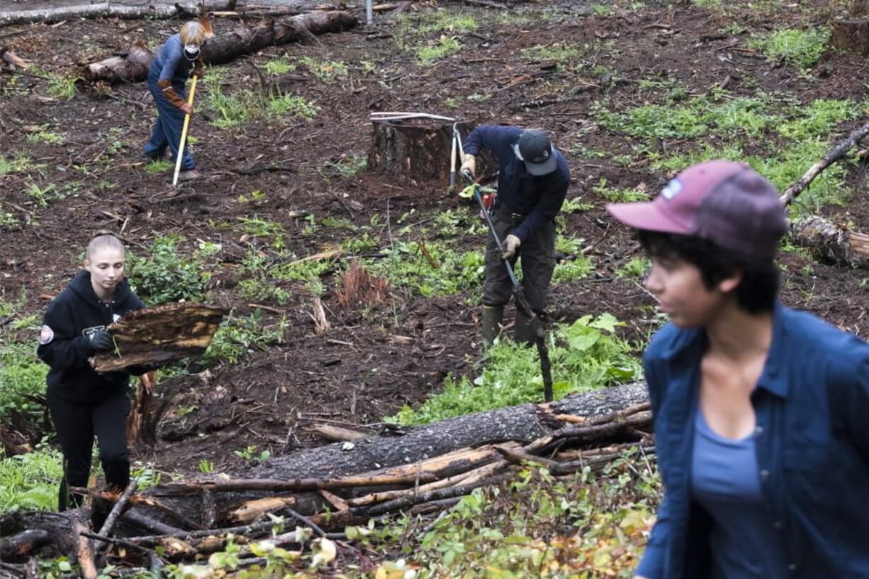 Volunteers clear branches and underbrush in the oak restoration area at the Ridgefield National Wildlife Refuge on Wednesday. Friends of the Ridgefield National Wildlife Refuge has received a $50,000 grant from the Cowlitz Tribe Education and Arts Fund.