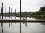 Washington State University Vancouver graduate student Katie Sweeney leaves the docks at the Vancouver Lake Sailing Club after collecting water samples.