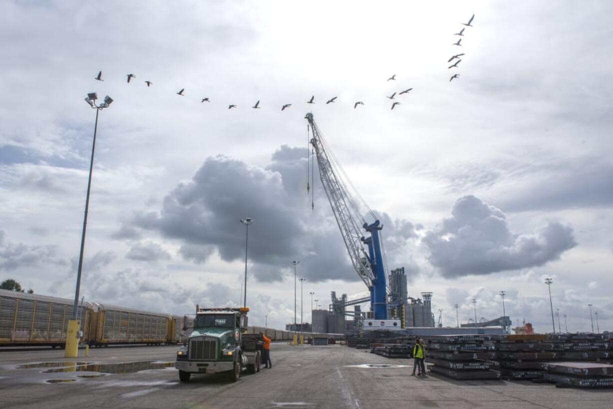 A flock of geese fly over Chris Stockwell as he secures a load of steel at the Port of Vancouver on Monday.