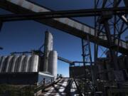 The United Grain storage silo was nearly empty as of Friday, according to a United Grain spokesman.