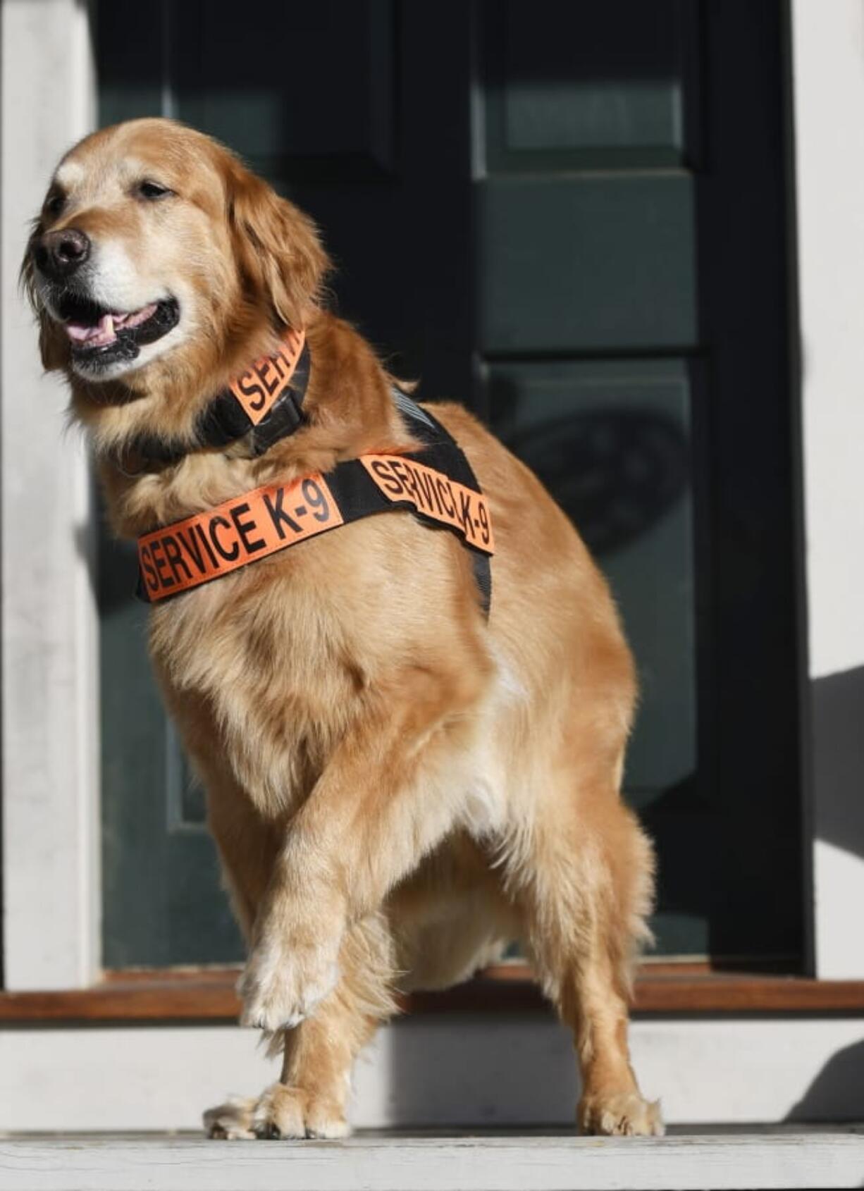 Tuesday, a service dog who was the subject of several books, is shown in 2016.