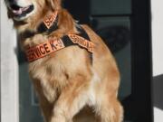 Tuesday, a service dog who was the subject of several books, is shown in 2016.