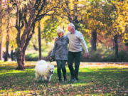 Fall means Annual Enrollment for Medicare