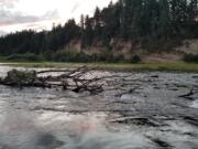 The Polk County, Ore., Sheriff's Office released this photo of a root ball snag in the Willamette River where a Vancouver woman went missing Saturday.