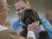 The Rev. Scott Dunfee blesses Bob Monroe's dog, Zoe, a Shih Tzu, during a blessing of the pets Sunday at Beautiful Savior Lutheran Church.