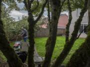 Charlie White with Thomason Landscaping Company mows the grass in the backyard of an Orchards house on Thursday.