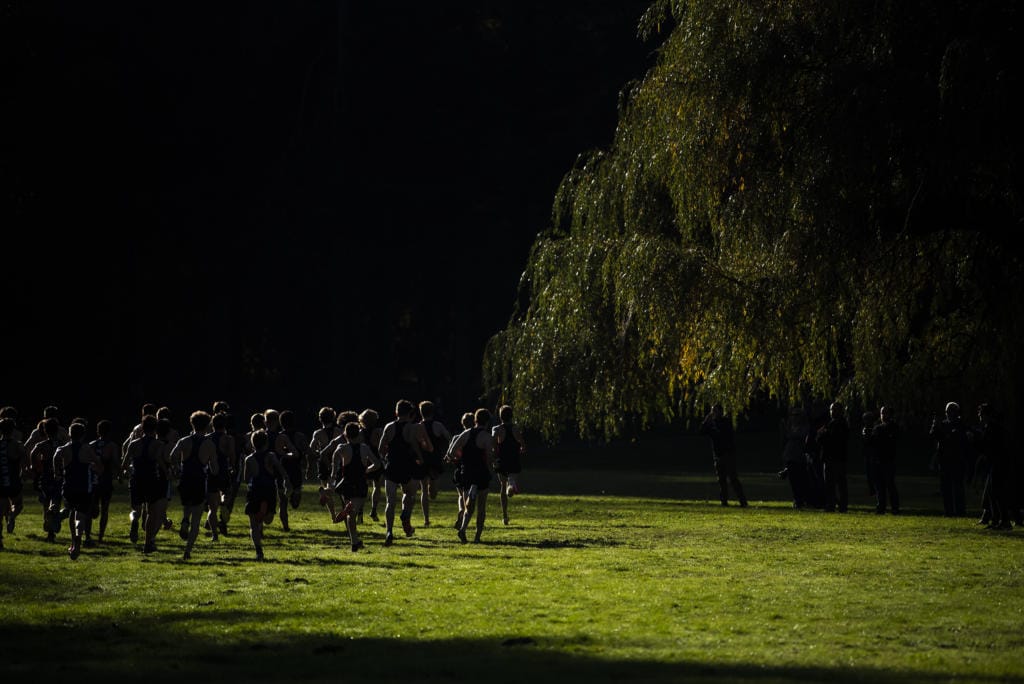 Runners take off from the starting line during the boys 4A district cross country meet at Lewisville Park on Wednesday afternoon, Oct. 23, 2019.