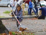 Bella Yeakle, 8, rakes leaves at the Uptown Village cleanup on Saturday. Bella was joined by her brother Peter, sister Jules and mom Wendy Yeakle. "It's important to get out and be part of your community, spend time with others and beautify your community together," Wendy Yeakle said.