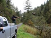 Maurice Frank, the Restoration Coordinator for the Lower Columbia Fish Enhancement Group, throws a salmon carcass into the upper Washougal River. Salmon carcasses are an important source of marine-derived nutrients that feed the river and its watershed, and help young salmon survive.