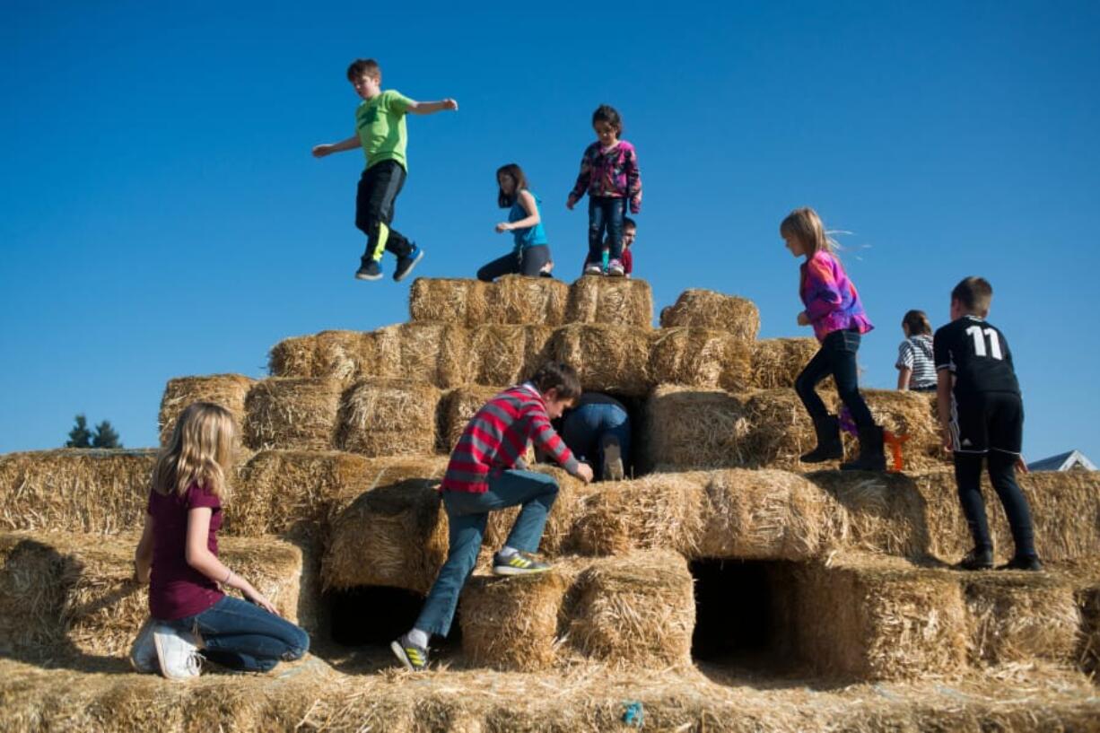 Children play on a straw pyramid at Bi-Zi Farms, where the pumpkin patch is open 2 to 5:30 p.m. Fridays and 10 a.m. to 5:30 p.m. Saturdays and Sundays, through Oct. 27. There&#039;s also a 6-acre corn maze, open during the day and also after dark from 6 to 9:30 p.m. Fridays and Saturdays.