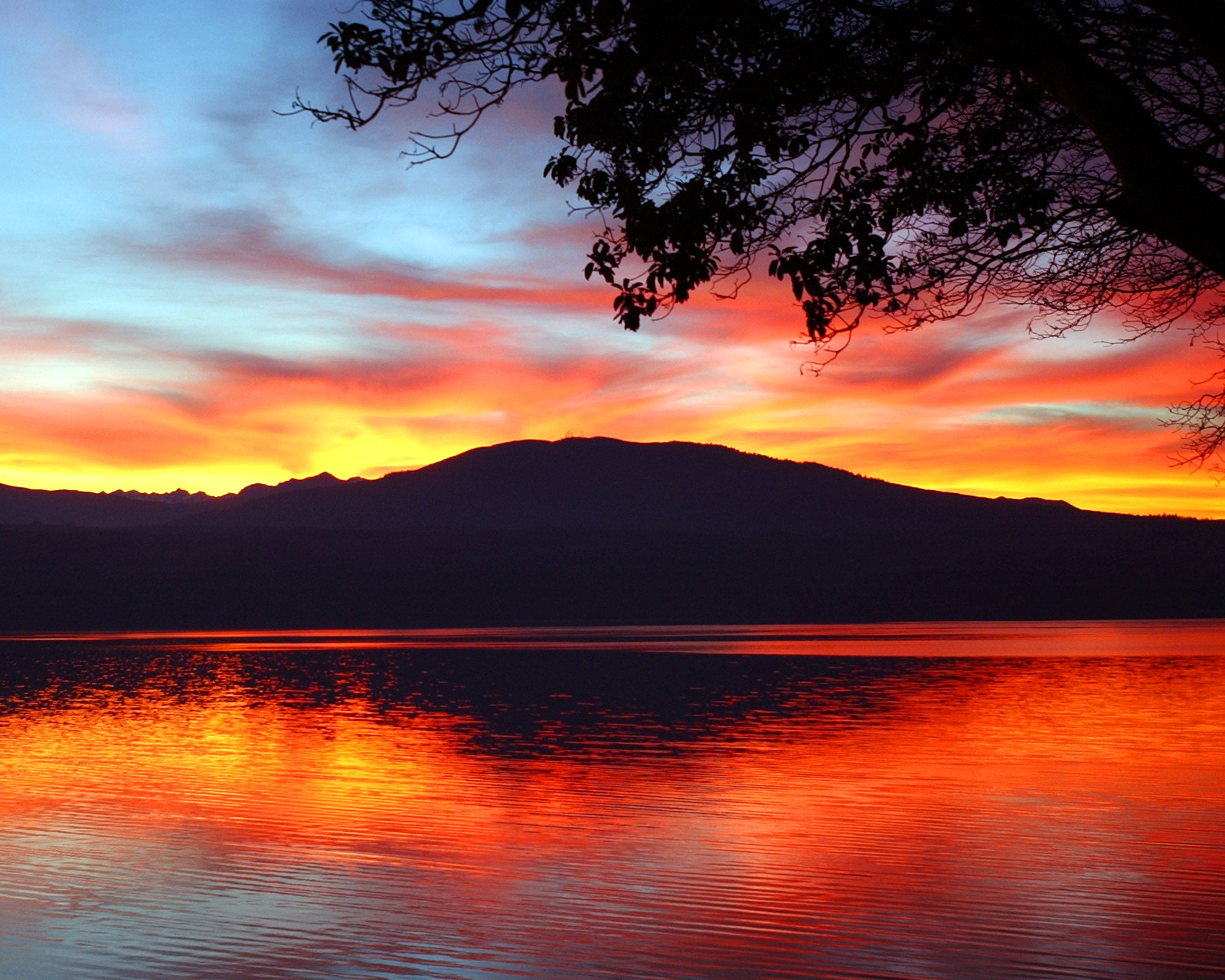 This photo is of a sunset at my father-in-laws' house in Port Townsend. The view is of Discovery Bay and the Olympic Mountains. My wife, 2 daughters, and I visit this paradise four times a year. The photo was taken by Peter G.