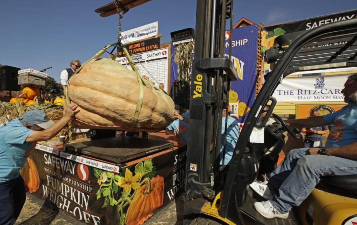 A massive pumpkin grin by Leonardo Urena of Napa, Calif., is lowered on a scale with a forklift on Monday, Oct. 14, 2019, in Half Moon Bay, Calif. The pumpkin weighed in at 2,175 lbs., a new California weight record.