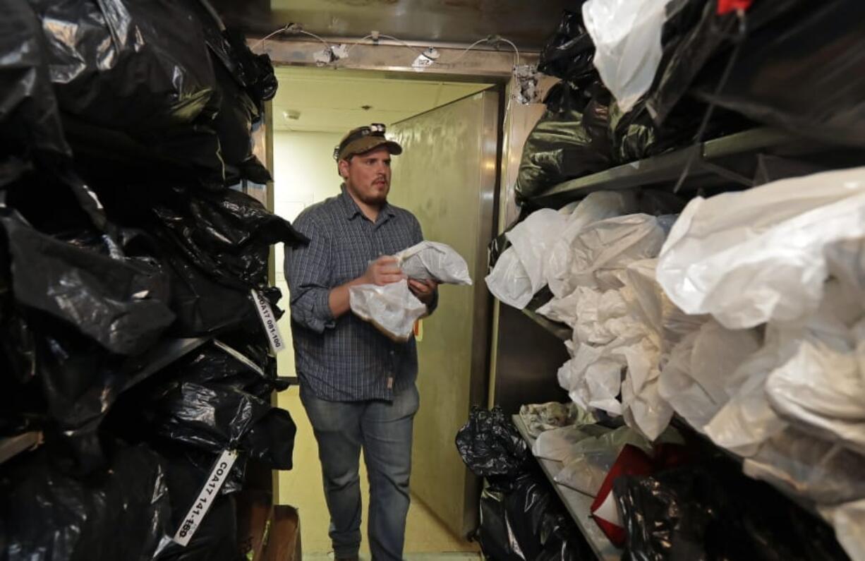 Wildlife technician Jordan Hazan places a male barred owl he shot earlier in the night into a storage freezer in a lab in Corvallis, Ore. (Photos by Ted S.