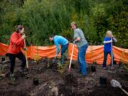 Volunteers plant trees with Vancouver Watersheds Alliance for Make a Difference Day in 2015.