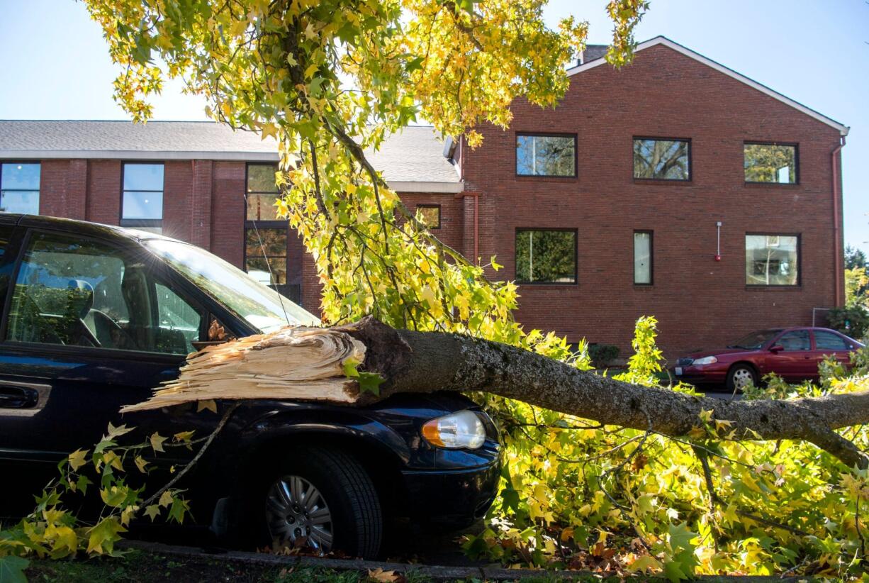 A falling tree branch damaged two vans outside a home on West 28th Street in the Carter Park neighborhood Tuesday morning as high winds swept through the area.