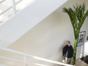 Associate professor Steven R. Sylvester examines new growth on a clone of Titan VanCoug, a corpse flower that bloomed earlier this year at Washington State University Vancouver.