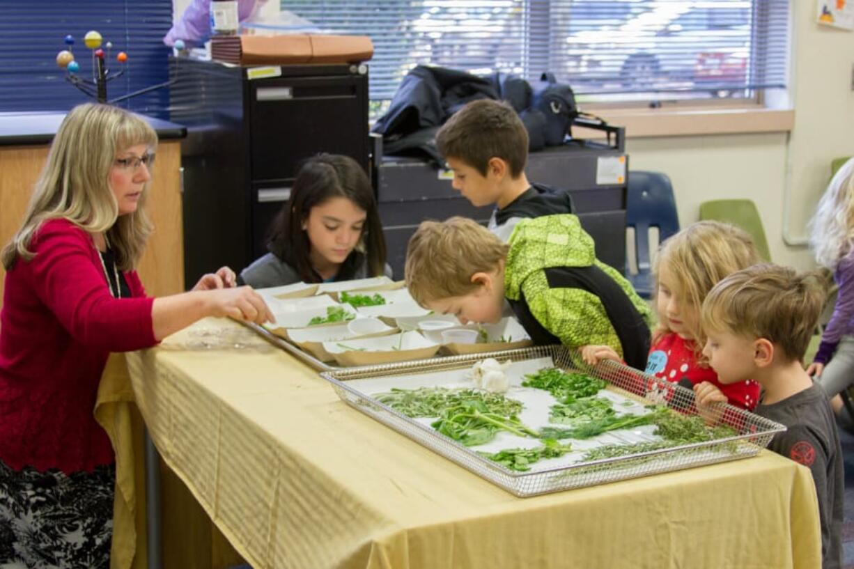 Woodland: Lewis River Academy teacher Teri Retter helps students experience the different herbs and spices by touching and smelling both the fresh and powdered varieties.