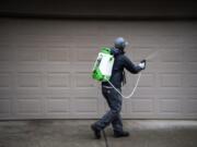 Aspen Pest Control Technician David Schuck sprays insecticide to repel boxelder bugs, commonly known as stink bugs, at a home in Battle Ground on Nov. 13, 2019.