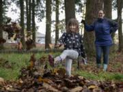 Elyse Scherer, 6, plays in a pile of leaves, while her mother, Andrea Scherer, watches Sunday at Countryside Park in Vancouver.