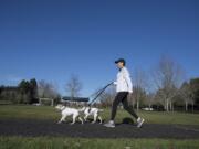 Dawn Horner of Felida keeps active with her dogs Mollie, left, and Cooper, both 11, at Felida Community Park.