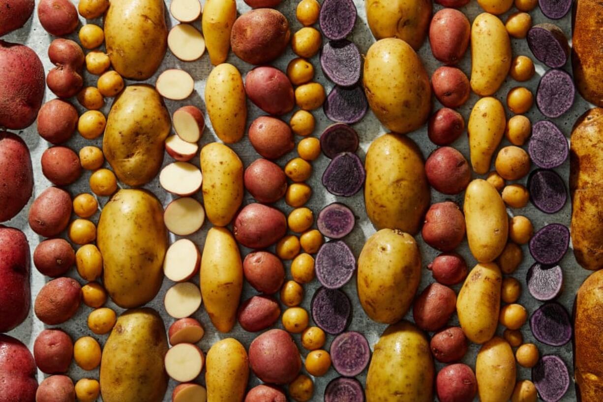 Everything you need to know about potatoes.