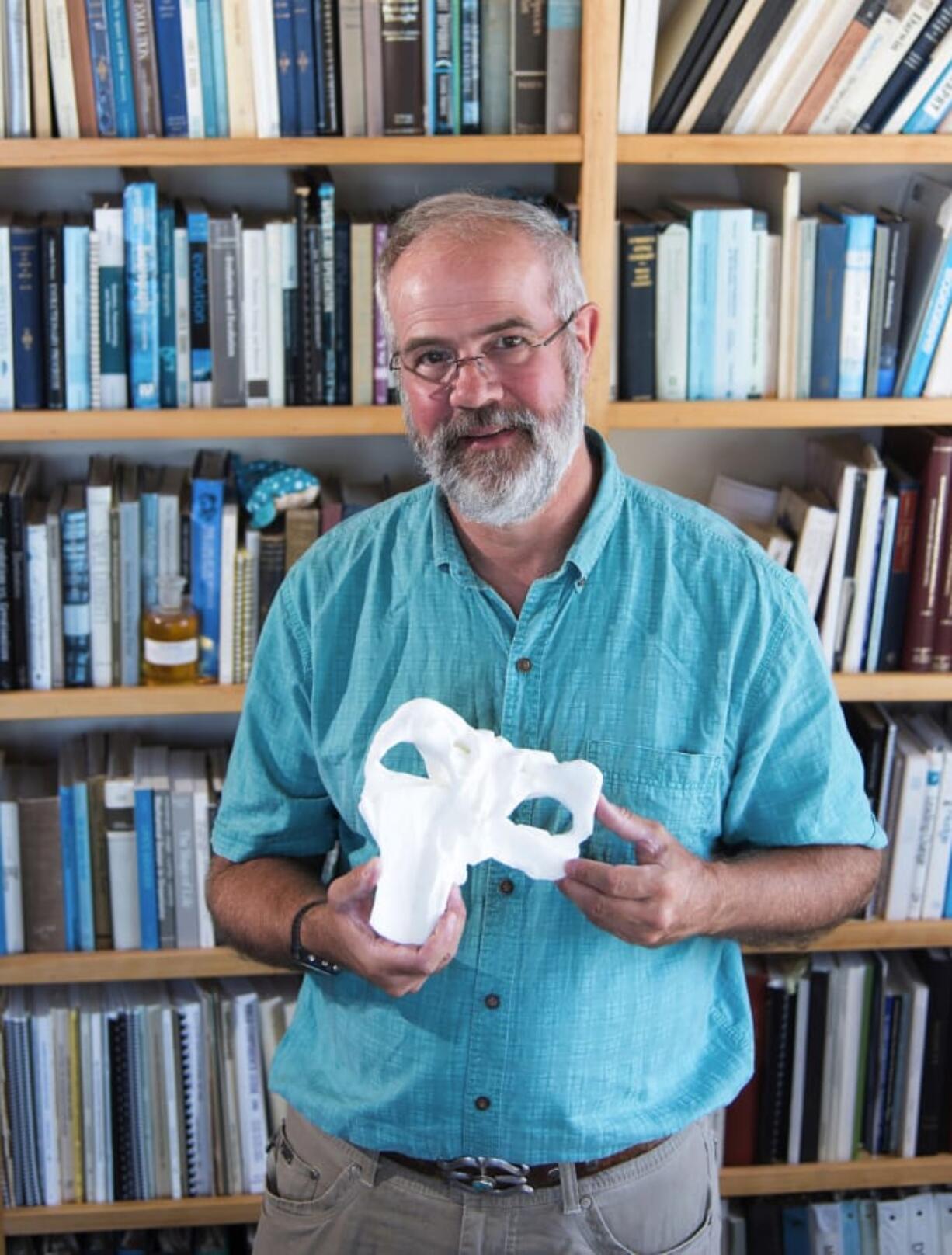 UC San Diego researcher Dick Norris holds a 3D printed version of a whale skull. One of his former students named the ancient whale after Norris and his father, Kenneth Norris.