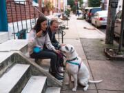 Britney Kennedy and Doug Bobrow, Bentley&#039;s new owners, feed the wide-grinning American bulldog chunks of hot dogs, his treat of choice.