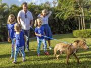 Miracle, the dog pulled from the rubble in Marsh Harbor after Hurricane Dorian, and his new family head outside after a ceremony Tuesday at Big Dog Ranch Rescue in Loxahatchee, Fla.