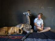 Hunter, a young Belgian Malinois, keeps an eye on Jazz, a nine-day-old giraffe, as orphanage worker Janie Van Heerden looks on last week at the Rhino orphanage in the Limpopo province of South Africa.