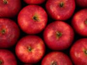 Cosmic Crisp apples, shown here, are the first apple variety bred in Washington to be exclusively grown by Washington growers.