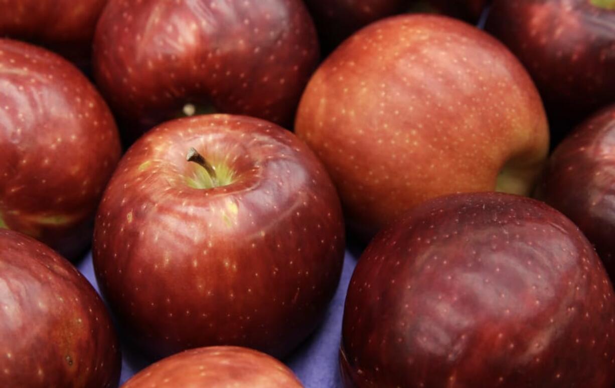 In this 2016 photo, a box of Cosmic Crisp apples is shown at Washington State University&#039;s Tree Fruit Research &amp; Extension Center in Wenatchee. The apple is a brand new trademarked and focus group tested variety developed by the WSU lab over the last 20 years. The long awaited variety was released Dec. 1, and is available in some Clark County grocery stores. (Ted S.