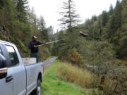 Maurice Frank, the restoration coordinator for the Lower Columbia Fish Enhancement Group, throws a salmon carcass into the upper Washougal River in early October. Salmon carcasses are an important source of marine-derived nutrients that feed the river and its watershed, and help young salmon survive.