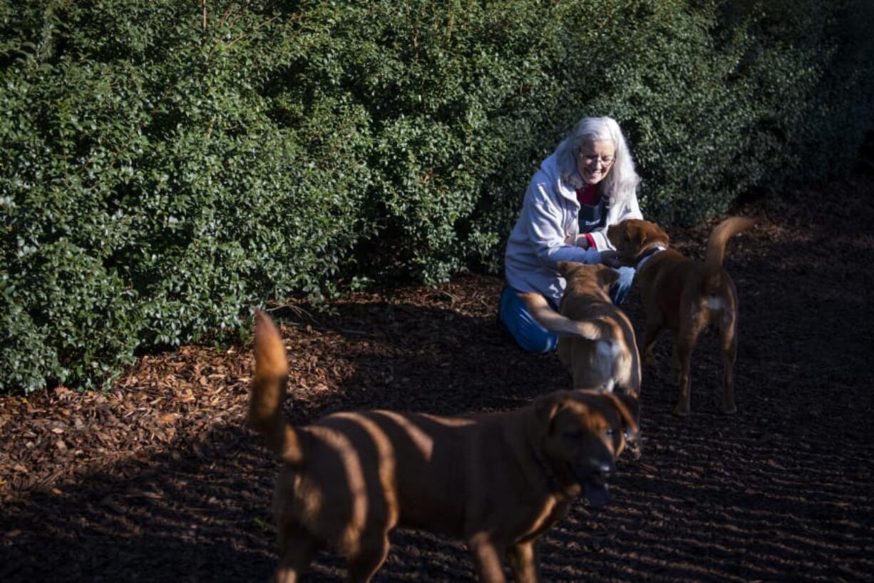 Janet Richardson of Vancouver plays with a group of young dogs outside the Humane Society for Southwest Washington last month. At top, Martha Walters of Vancouver provides a little love and affection for a tabby at the Humane Society&#039;s cattery.