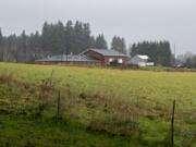 Vacant land for the future Curtin Creek Community Park is pictured near Vancouver Fire Department Station 7 on Dec. 12. The park&#039;s design is not yet decided, but it will likely include restrooms, parking and athletic fields.