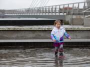 Ellie Adams, 2, of Vancouver plays in a large puddle Saturday afternoon at an otherwise inactive water feature at The Waterfront Vancouver.