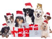 With the holidays just around the corner, here are some gift ideas for dog and cat lovers to inspire your holiday shopping.