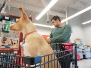 Drew Pescaro and his dog Lily, on a $500 shopping spree Dec. 12 at Petco in Durham, N.C. Pescaro is a survivor of the mass shooting at UNC Charlotte in April.