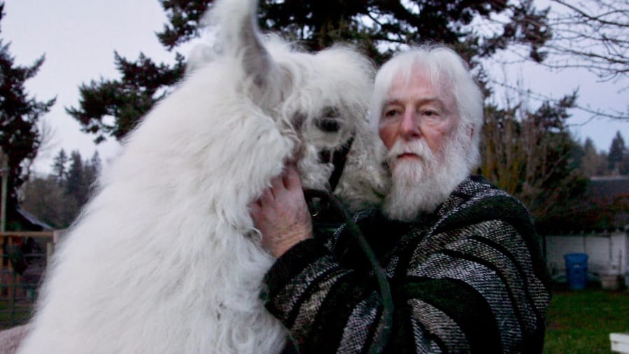 Caesar the No Drama Llama cuddles with Larry McCool at Mystic Llama Farm in December 2019 in Jefferson, Ore.