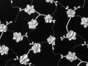 This photo provided by Artistic Tile shows Michael Aram&#039;s orchid design transformed into a striking three dimensional ceramic tile by Artistic Tile. The tile has dozens of hand formed flowers on a black or white background. The pattern is also available in a 2D version for floors and other purposes.