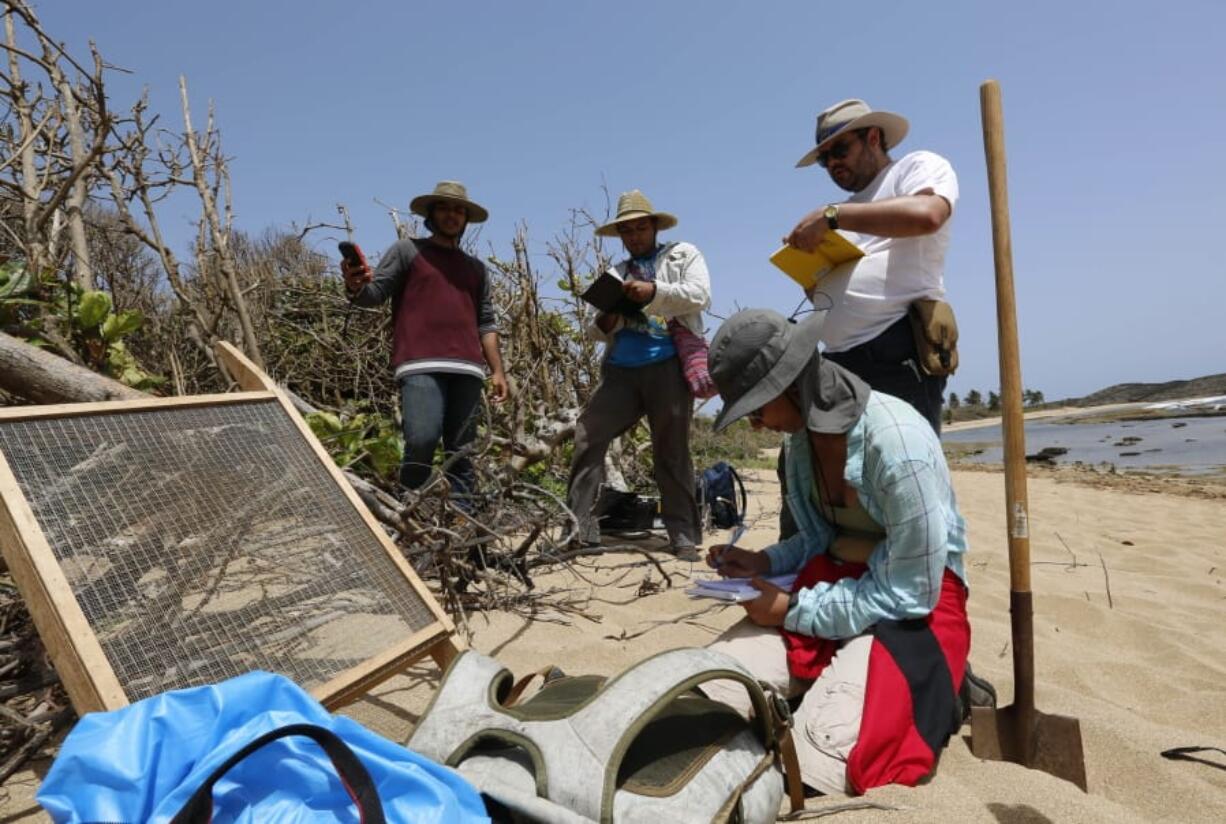 In this June 14, 2019 photo provided by Fabio Esteban Amador, Puerto Rican students of the Center for Advanced Studies for Puerto Rico and the Caribbean, and their professor Isabel Rivera-Collazo, kneeling, study the impact that Hurricane Maria had on coastal archaeological resources and ecology in Manati, Puerto Rico. The group of U.S.-based scientists are rushing to document indigenous sites along Puerto Rico&#039;s coastline that date back a couple thousand years before rising sea levels linked to climate change destroy a large chunk of the island&#039;s history they say is still being discovered.