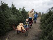 Washougal River Christmas Trees, a 160-acre farm, is open daily from 9 a.m. until 5 p.m. through Dec. 18.