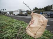 A plastic bag is stuck on a bush near passing traffic on Interstate 5 near downtown Vancouver. The Legislature is considering a bill that would ban single-use plastic bags at grocery store checkout lines and impose a fee on paper bags in order to encourage customers to switch to reusable bags.