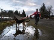 Volunteer Karen Hansen walks Harper, a German Shepherd mix, at the Humane Society for Southwest Washington on Wednesday morning. Volunteers turned out to nonprofits across Clark County on New Year&#039;s Day, ringing in the new year with a day of work instead of a day of rest.