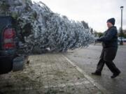 Clark Public Utilities employee Lisa Larson pulls a Christmas tree from the bed of a truck in the Chuck&#039;s Produce parking lot in Hazel Dell.