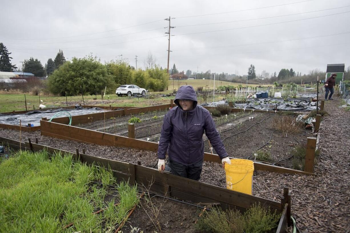 Sharon Kenoski, left, weeds under soggy conditions in one of her two plots in the 78th Street Heritage Farm community gardens on Monday morning.