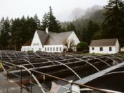 Rows of tanks where salmon are raised are seen at the Bonneville Fish Hatchery on Monday. The hatchery is one of 62 in the Columbia River system to benefit from $22 million in Mitchell Act funds.