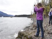 Jaime Herrera Beutler uses binoculars to view a sea lion on the Columbia River near Bonneville Dam in 2018.