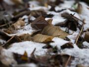 Monday&#039;s snowfall was barely enough to cover leaves in Yacolt. The National Weather Service expects more snow, but whatever accumulates should melt quickly with the high expected to reach 40 degrees Thursday afternoon.